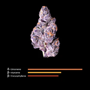 Maven - 1/8 OZ- PANTA RHEI- PREMIUM INDOOR