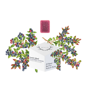 Wyld - 10CT- HUCKLEBERRY- GUMMIES