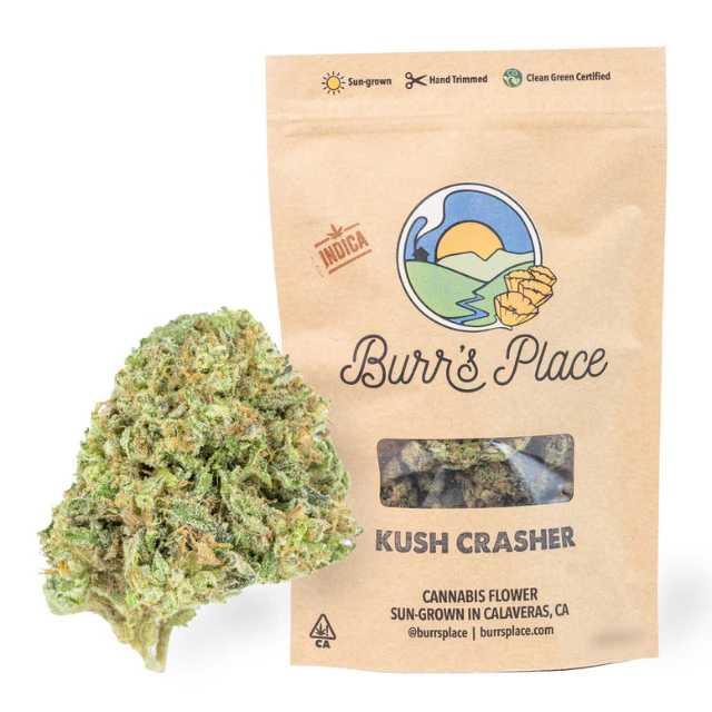 Burr's place - 1/8 OZ- KUSH CRASHER- SUN GROWN Main Image