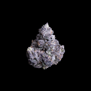 Maven - 1/8 OZ- PRIZM- PREMIUM INDOOR