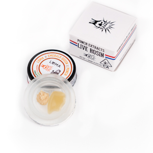 Punch - 1G- PAPAYA APPLE CIDER HALF & HALF- TIER 1- LIVE ROSIN