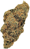 PURPLE RTZ 28G