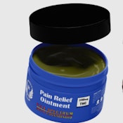 PAIN RELIEF OINTMENT 2OZ