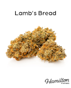 LAMB'S BREAD