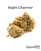NIGHT CHARMER